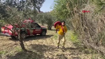 OSMANİYE'DE 3 DÖNÜM ORMANLIK ALAN YANDI