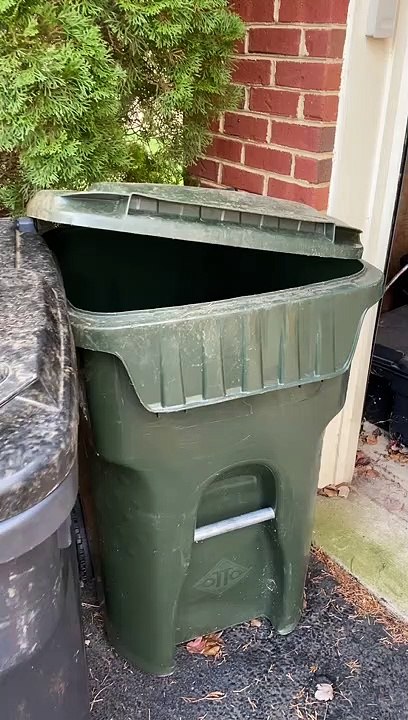 Rescuing Raccoons From the Recycling Bin