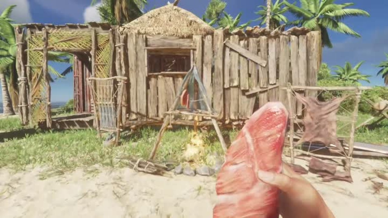 Stranded Deep : Lancement sur consoles