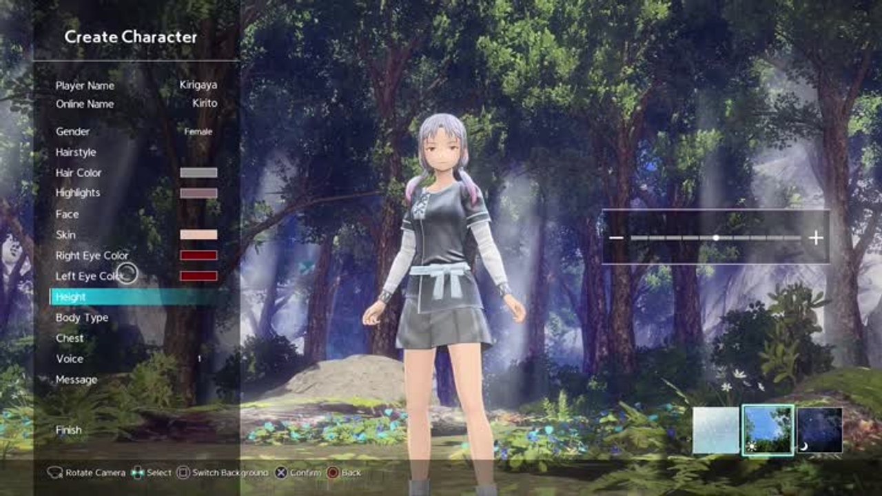 Sword Art : Custom