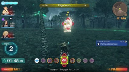 Xenoblade Chronicles DE - Bois aux abois
