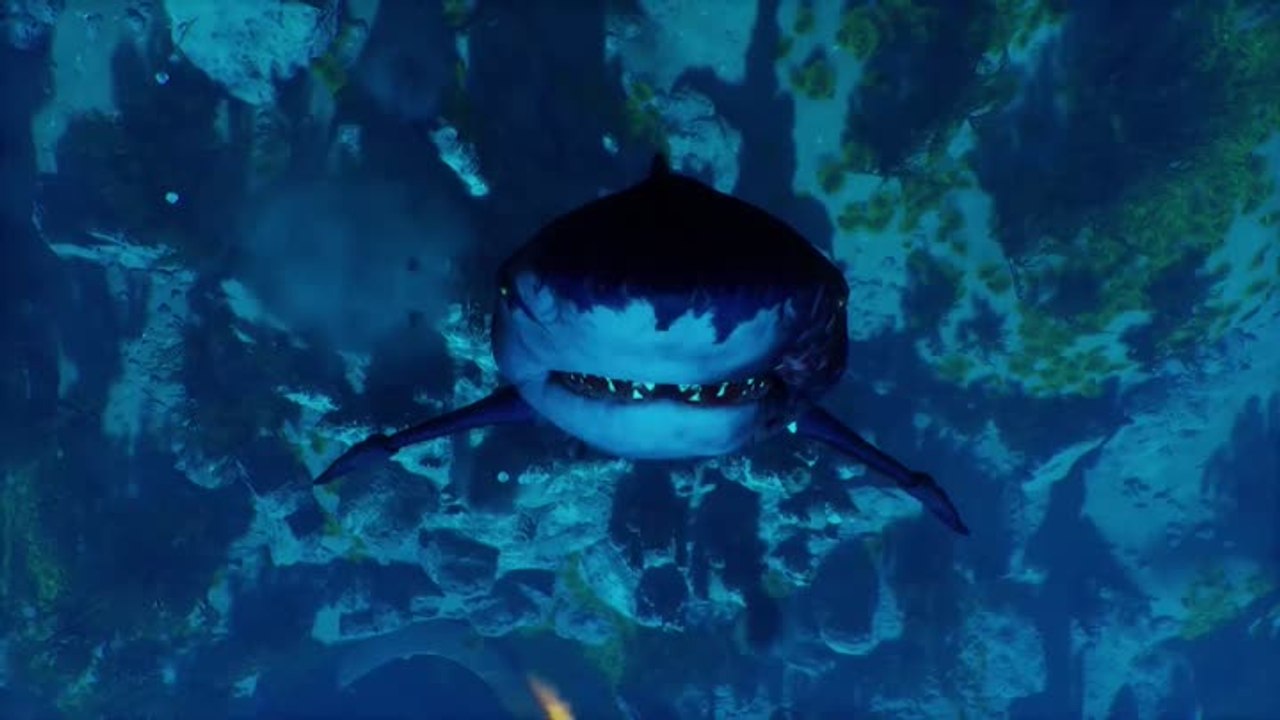 Maneater dévoile son trailer de lancement