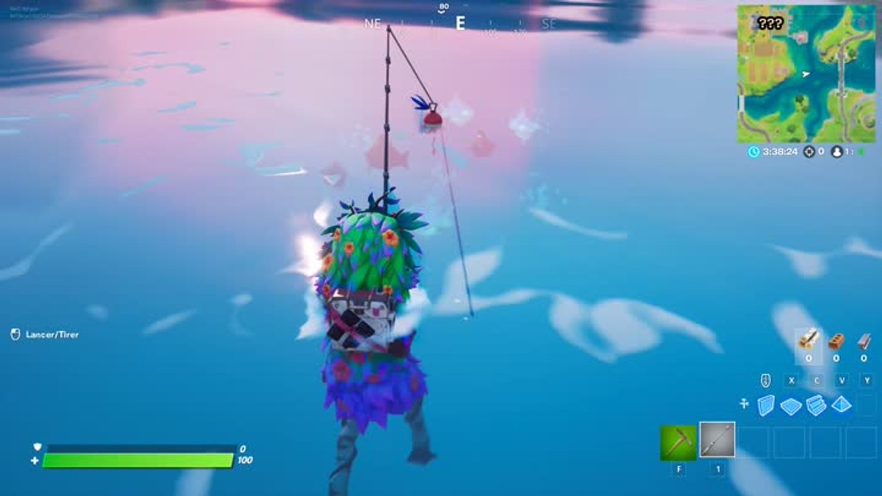 Attraper 2 poissons différents en une seule partie (défis d'Aquaman)