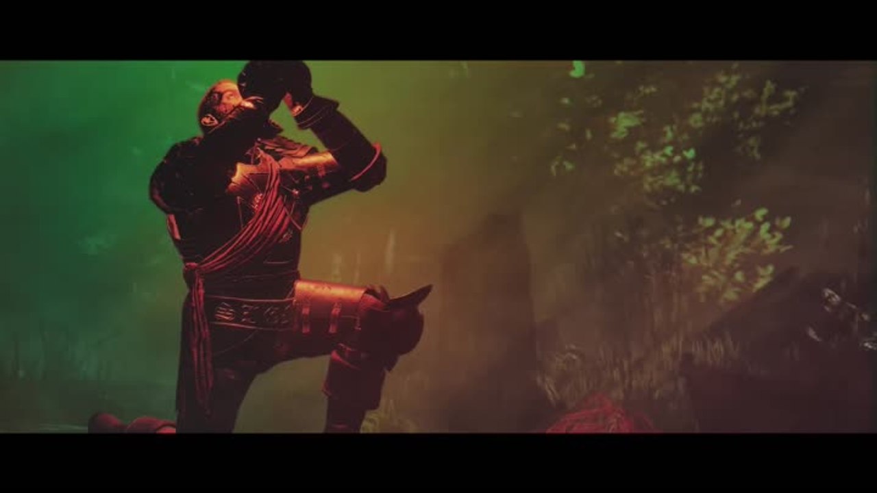 Warhammer : Vermintide 2 - Grail Knight Career