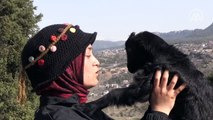 Üniversiteli Ayşe her şeyi bıraktı, mutluluğu çobanlıkta buldu