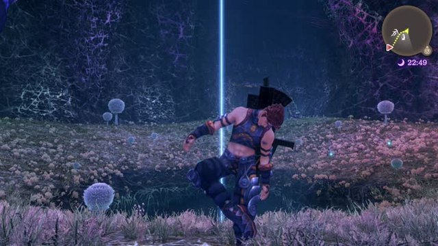 Xenoblade chronicles DE - Niveau 50 dès le chapitre 3