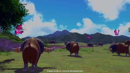 Replay Pokémon Presents 17/06