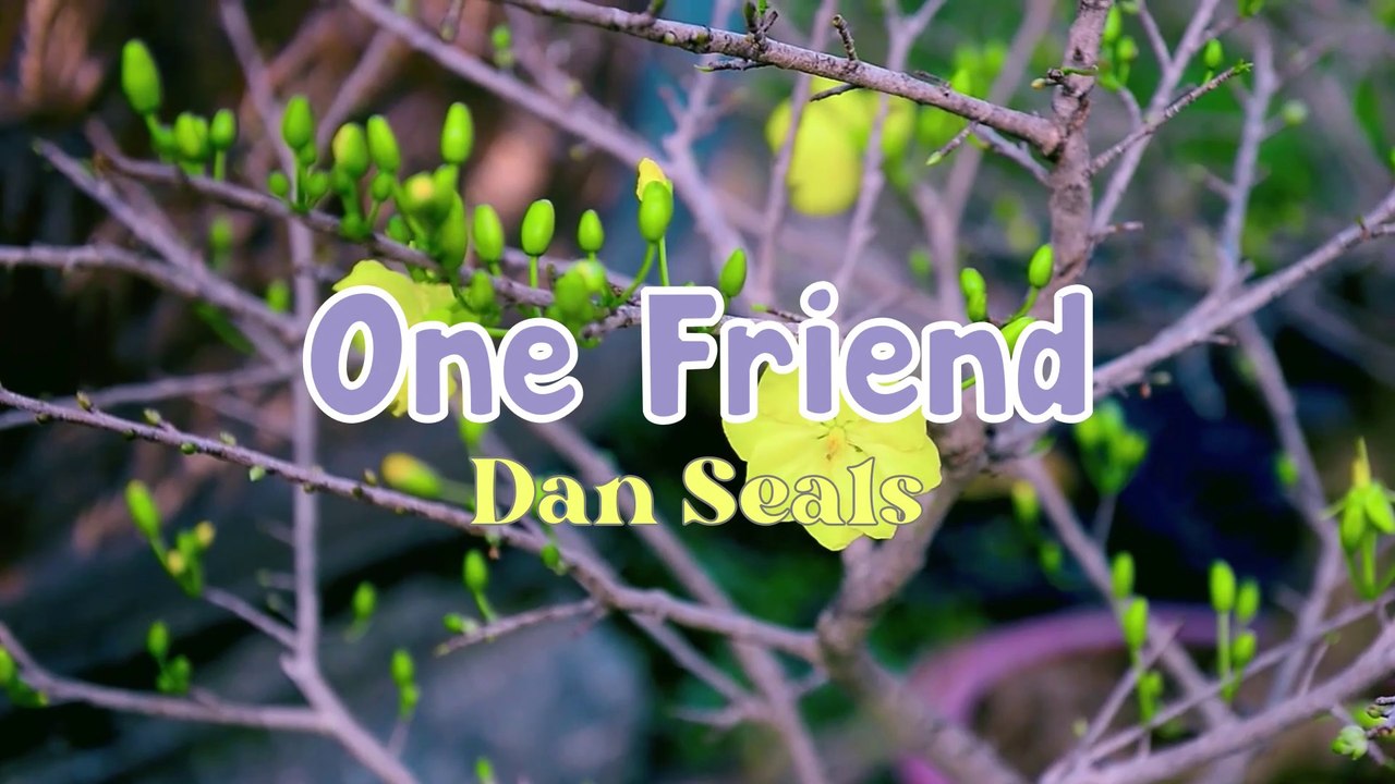 One Friend - Dan Seals | Karaoke Version |HD