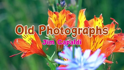 Old Photographs Jim Capaldi | Karaoke Version |HD