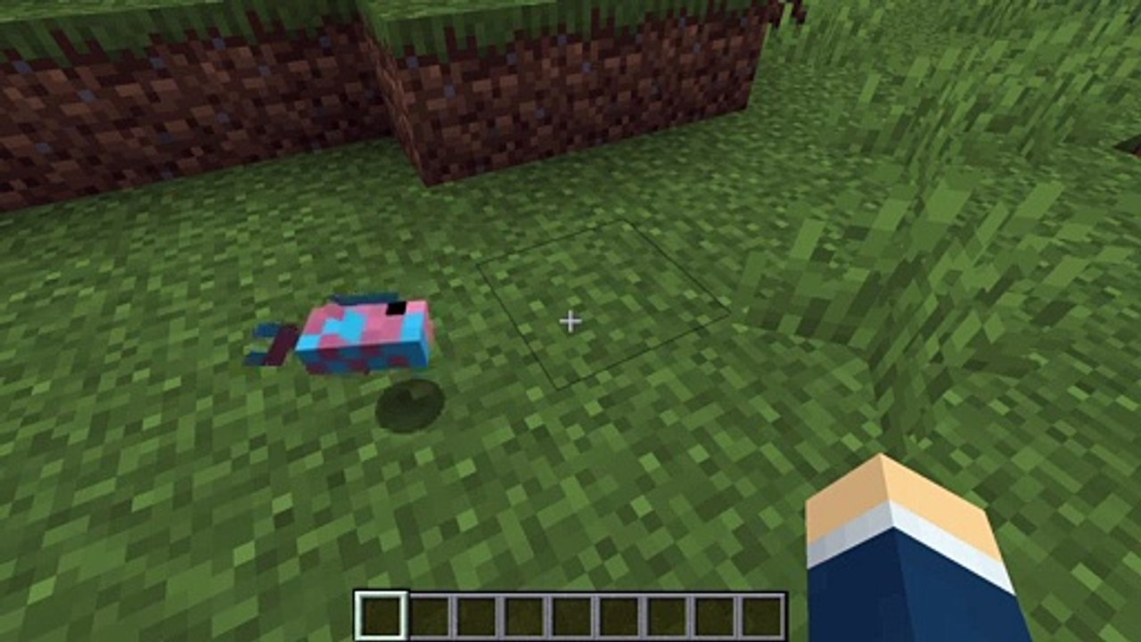 Minecraft Fish Dance To Death