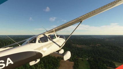 Test Microsoft Flight Simulator