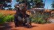 Planet Zoo Australia Pack Launch Trailer