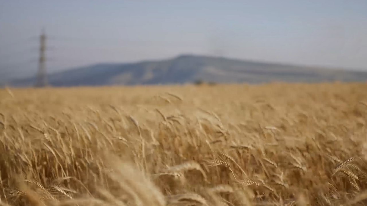 تحذيرات متزايدة من تداعيات حرب أوكرانيا على الاقتصاد العالمي