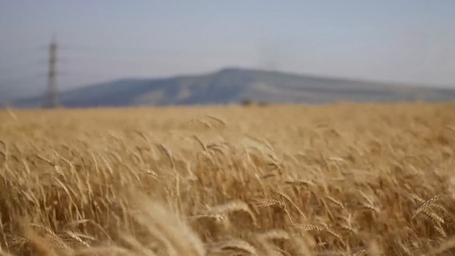 تحذيرات متزايدة من تداعيات حرب أوكرانيا على الاقتصاد العالمي