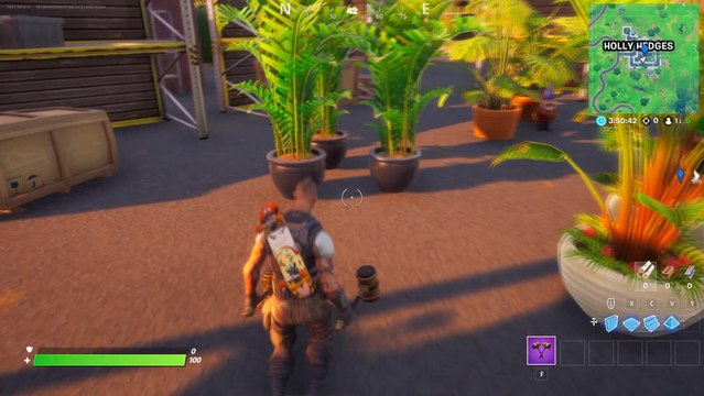 Chapitre 2, saison 4 : Sauver Groot arbrisseau de la pépinière à Holly Hedges (défis de l'éveil de Groot)