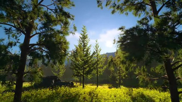 Square Enix Luminous Engine