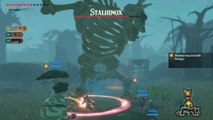 Hyrule Warriors : L'Ère du Fléau - Stalhinox
