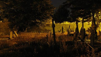 Topraktan fırlayan cesetleri görünce aklını kaçırdı, köye koşup haber verdi: Mezarlığa gelin