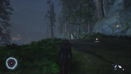 Werewolf The Apocalypse : Une opération de sabotage