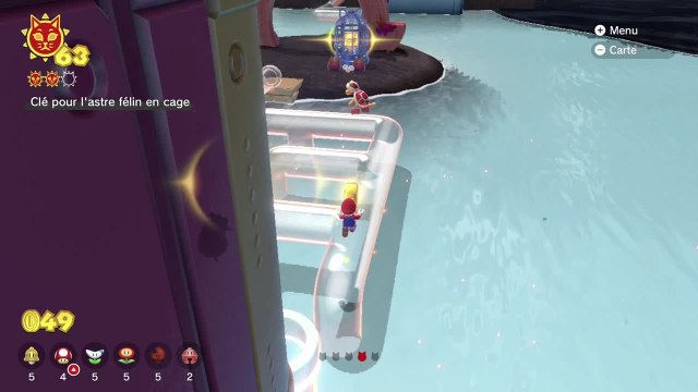 Tour Tuyaux-de-poils – Clé pour l'astre félin en cage