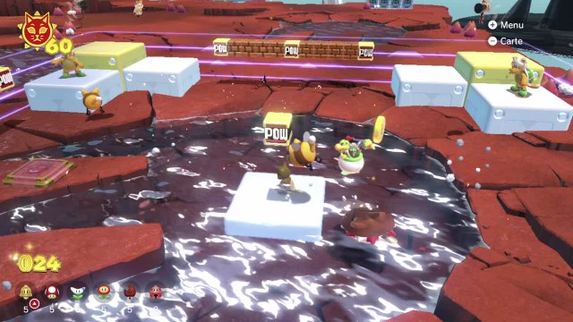 Lac Saudechat – Combat mystère dans l'empreinte