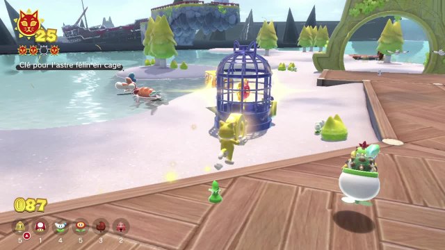 Rivages Mistigrilles – Clé pour l'astre félin en cage