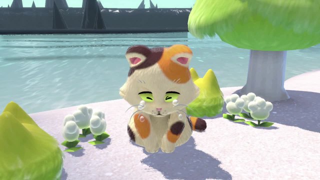 Lac Saudechat – Chaton égaré dans les sables