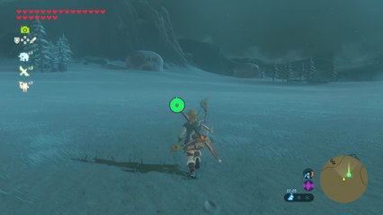Zelda Breath of the Wild - Un cheval tout en os