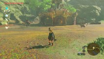 Zelda Breath of the Wild - Mon héros