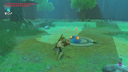 Zelda Breath of the Wild - Epreuve 3 Basique