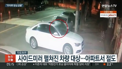 펼쳐진 '사이드 미러' 타깃…차량 절도 주의보