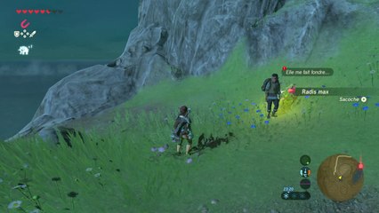 Zelda BOTW - Le fleuriste du Cœur