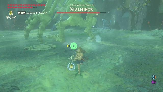 Zelda BOTW - Epreuve 5 Extreme