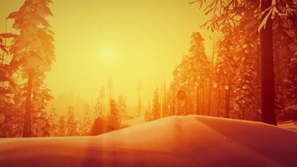 L'expérience narrative Arctic Awakening annoncée sur PC et Consoles