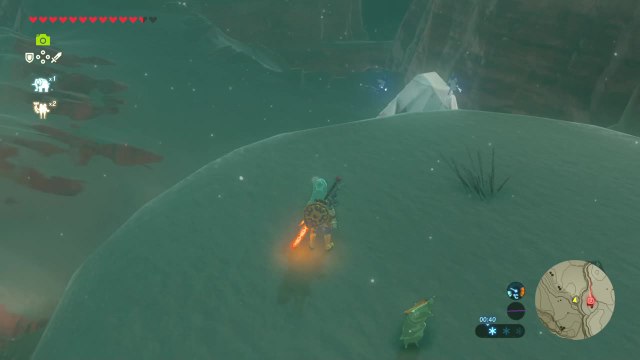 Zelda Breath of the Wild - Kui'Takka