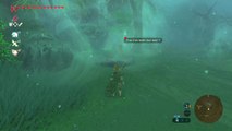 Zelda Breath of the Wild - Da'Chokahi