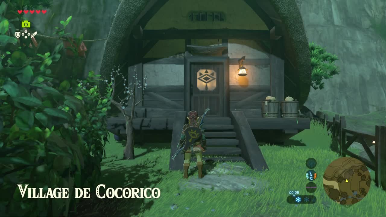 Zelda BOTW - La lumière des lucioles