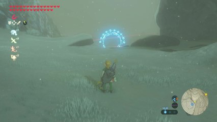 Zelda BOTW - Kiha'Tusa