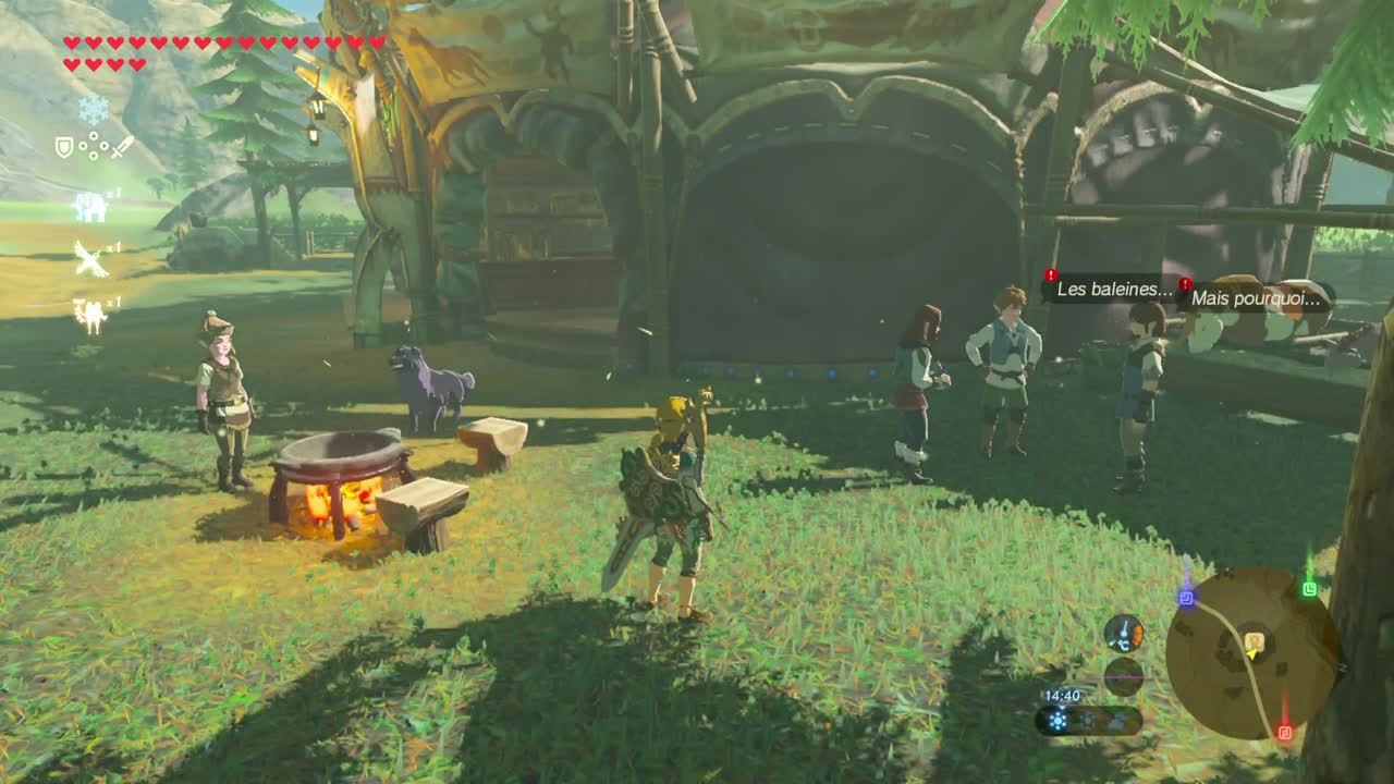 Zelda Breath of the Wild - Fossile de Baleine