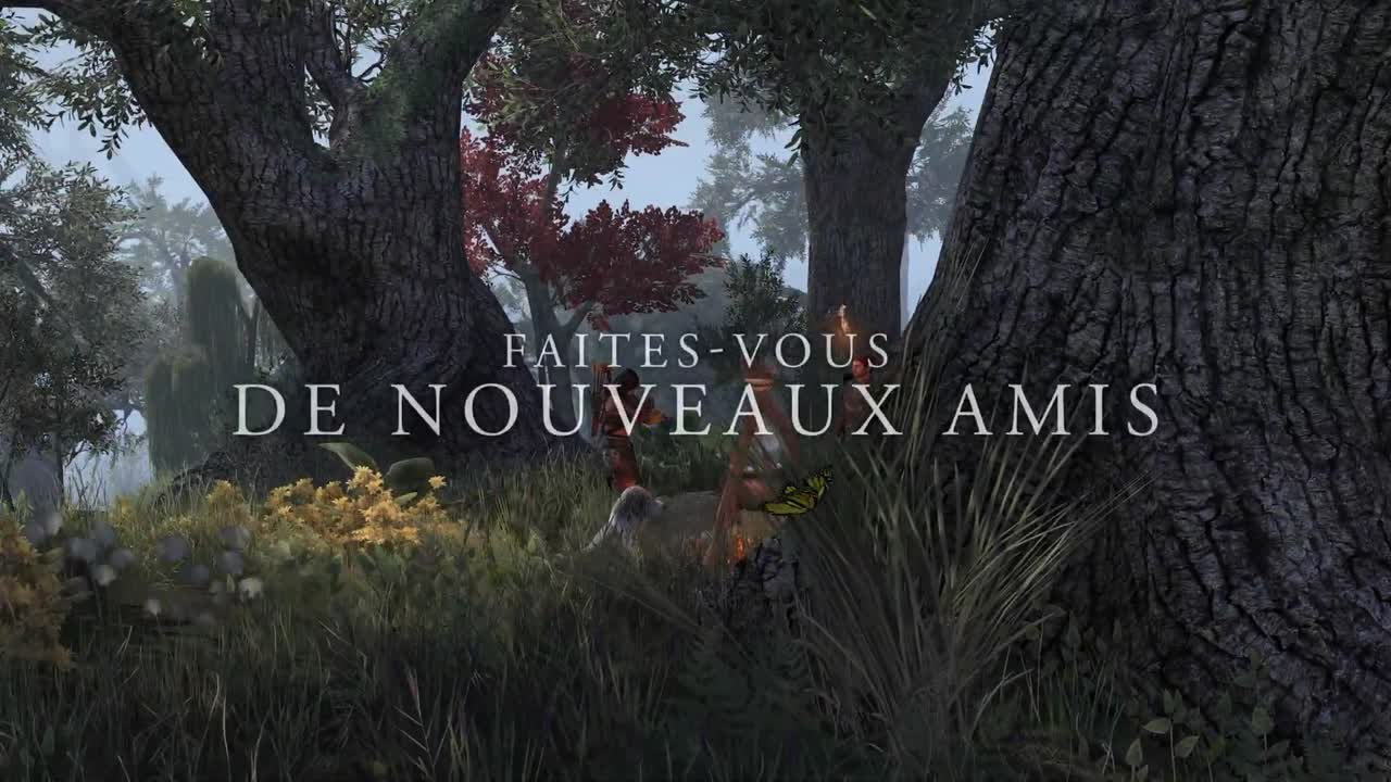 TEOO - Blackwood Compagnons trailer