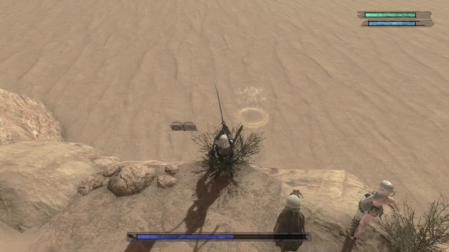 NieR Replicant - Rhizodonte