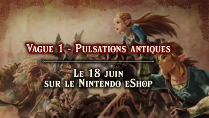 Hyrule Warriors - Pass d'extension
