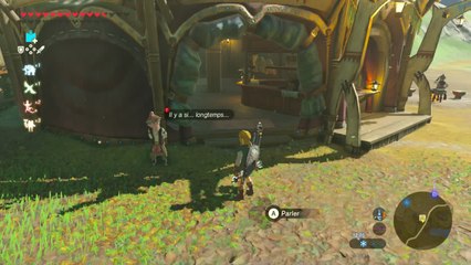 Zelda Breath of the Wild - Un cheval blanc