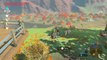 Zelda Breath of the Wild - Caprice de nouveau riche