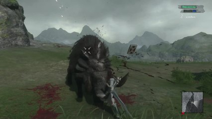 Nier Replicant - La chasse aux sangliers
