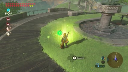 Zelda BOTW - Souvenir 10