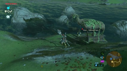 Zelda BOTW - Un trésor au fond du lit