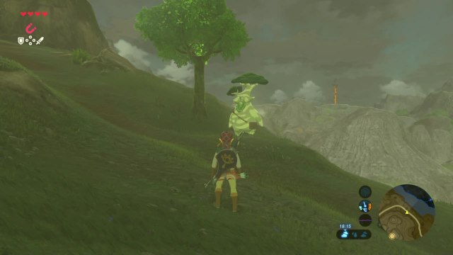 Zelda BOTW - De précieux maracas