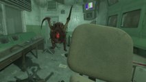 Half-Life: Alyx : Alyx-Multiplayer mod