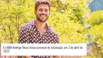 Ex-BBB Rodrigo Mussi, internado, inicia processo de extubação. 'Momento mais importante', diz amigo